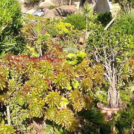 Appartamento Rosmarino *