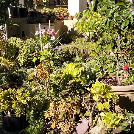 Rosmarino Appartement